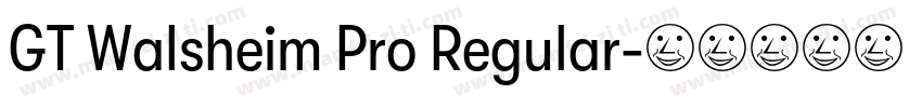 GT Walsheim Pro Regular字体转换